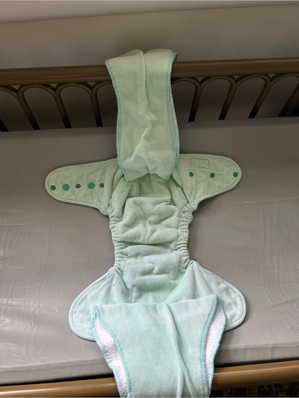Twinkie Tush Night Night Cloth Diaper